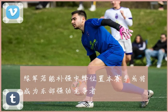 绿军若能补强中锋位置本赛季或将成为东部强劲竞争者